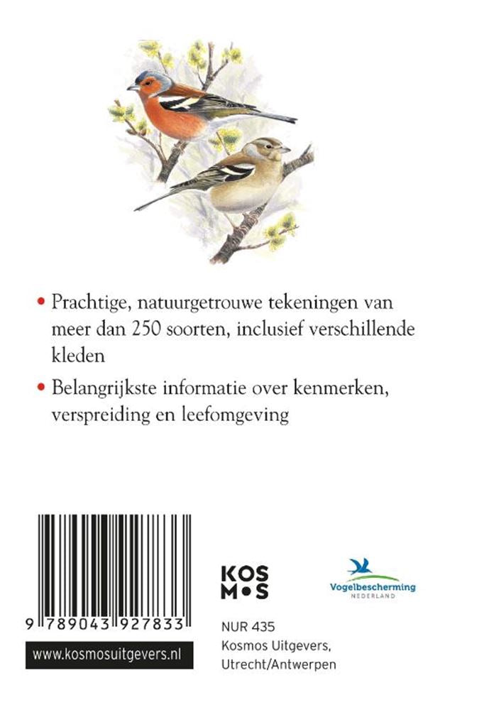 Compactgids: vogels (pb)