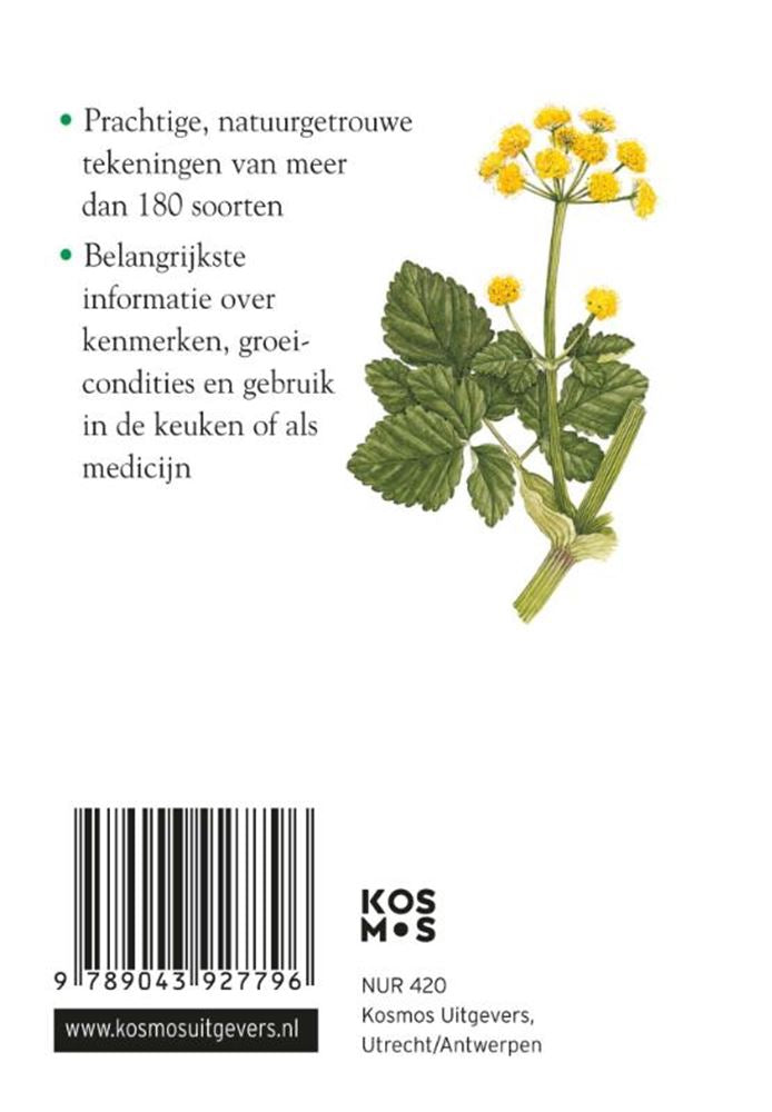 Compactgids kruiden volwassene
