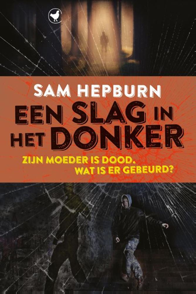 Een slag in het donker. 12+