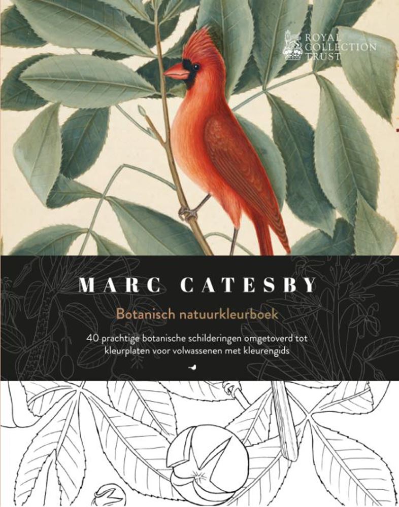 Libro para colorear de naturaleza botánica.