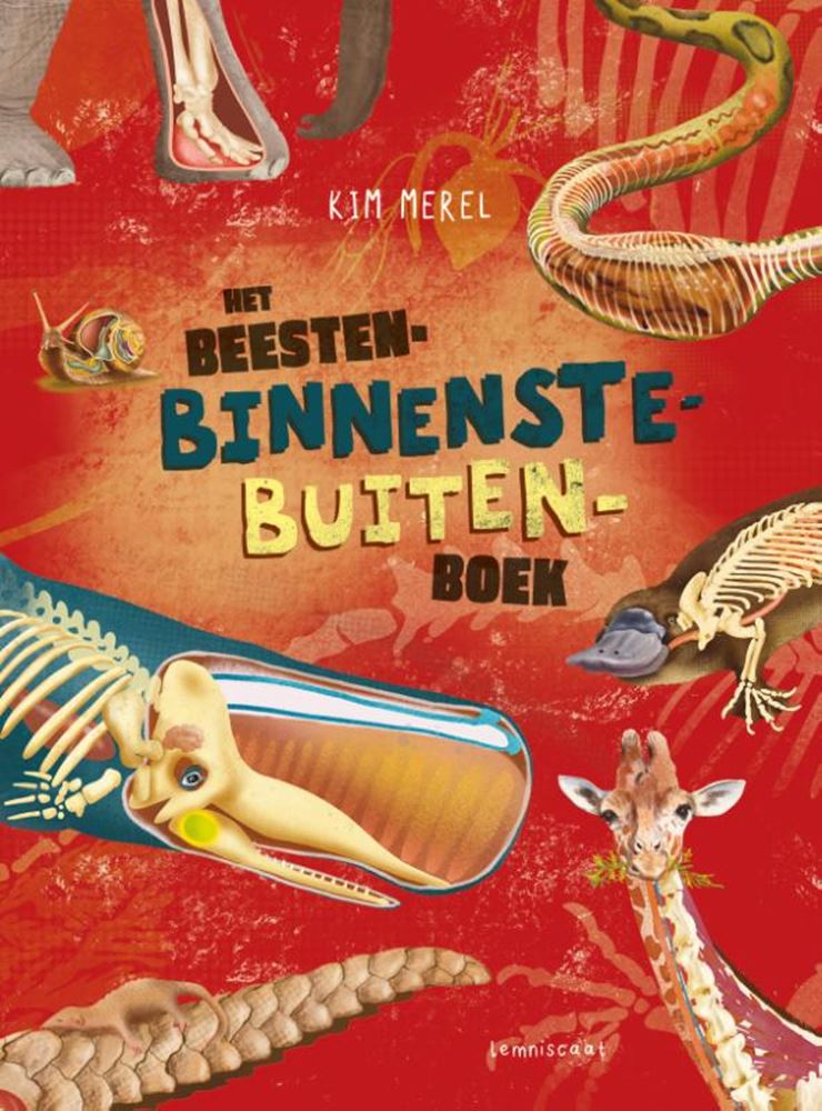 Los animales del revés libro 9+