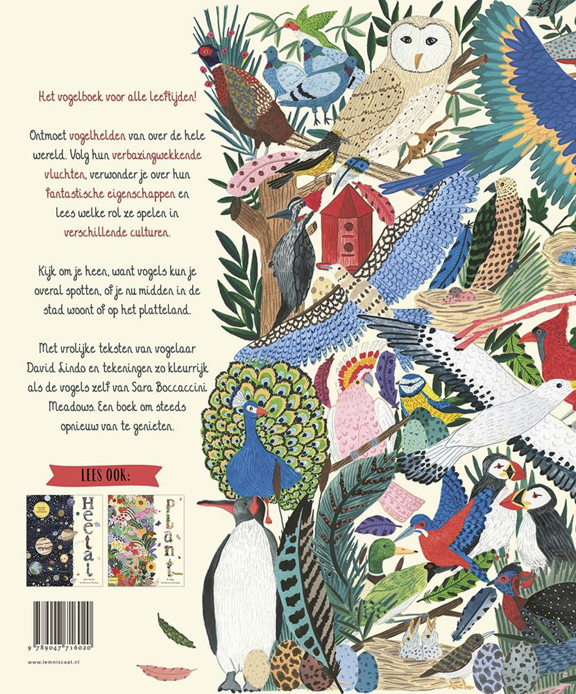 Volar. libro ilustrado. 9+