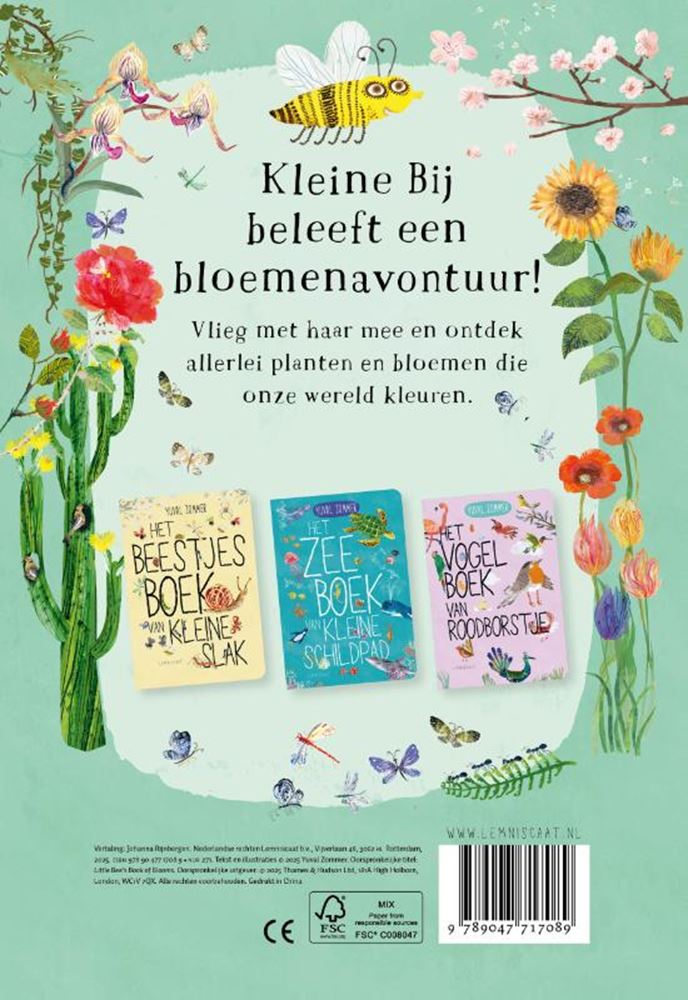 Boe de cartón, libro de flores de la abejita.