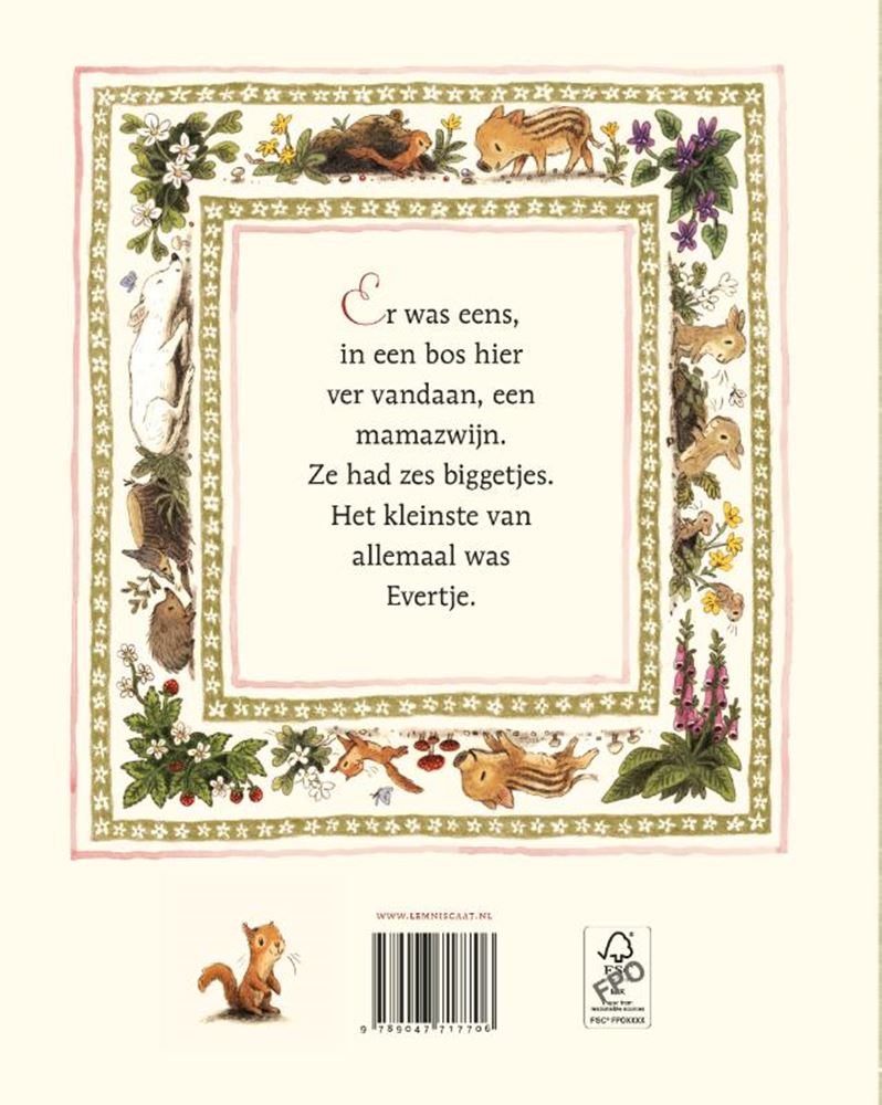 Libro de imágenes: evertje 4+