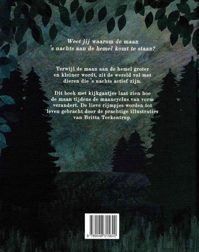 Libro ilustrado: a la luz de la luna. 2+