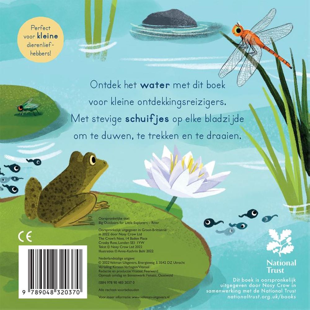 Al agua. libro de tablero. 2+