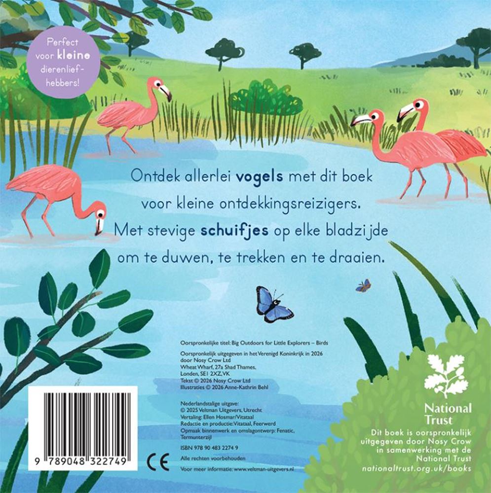 Aves - para pequeños exploradores