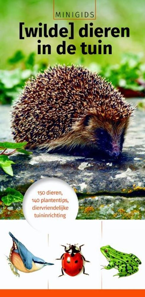 Mini guida: animali selvatici in giardino