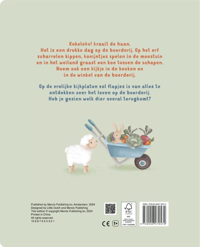 Piccola fattoria olandese con libri a ribalta 2+