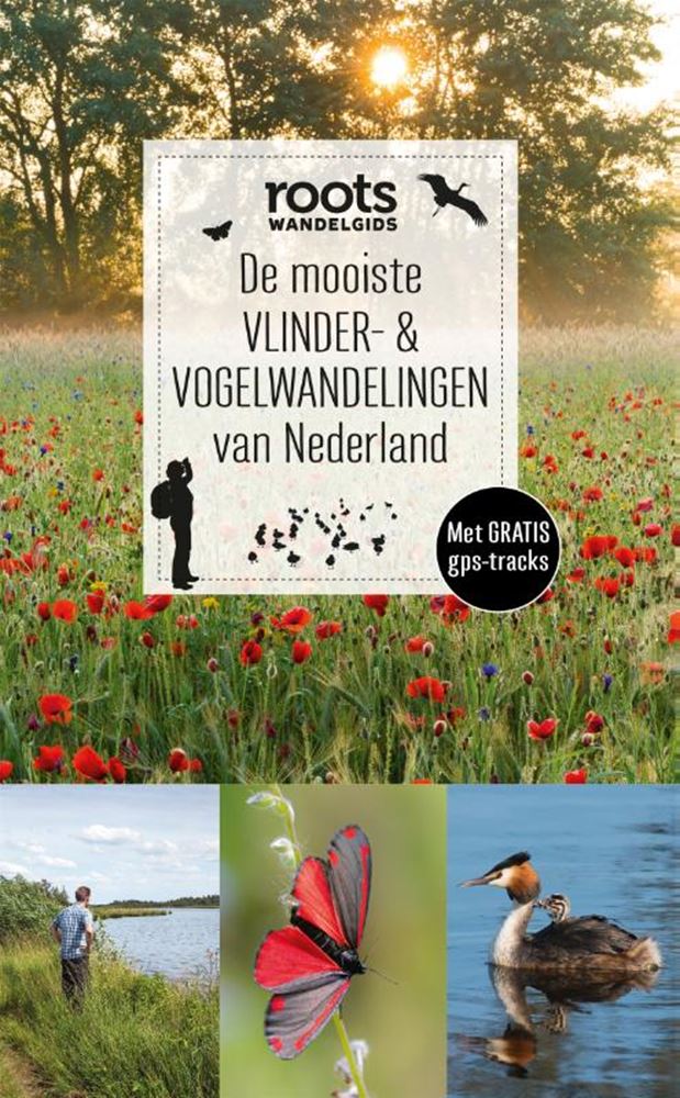 La mariposa más bella de Holanda (pb)