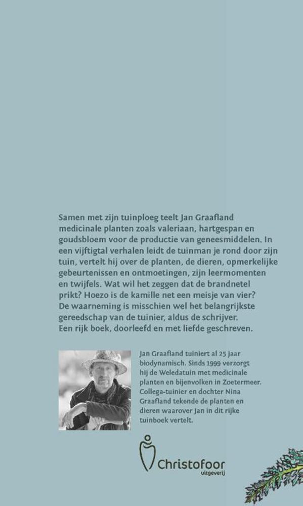 Grazia verde.