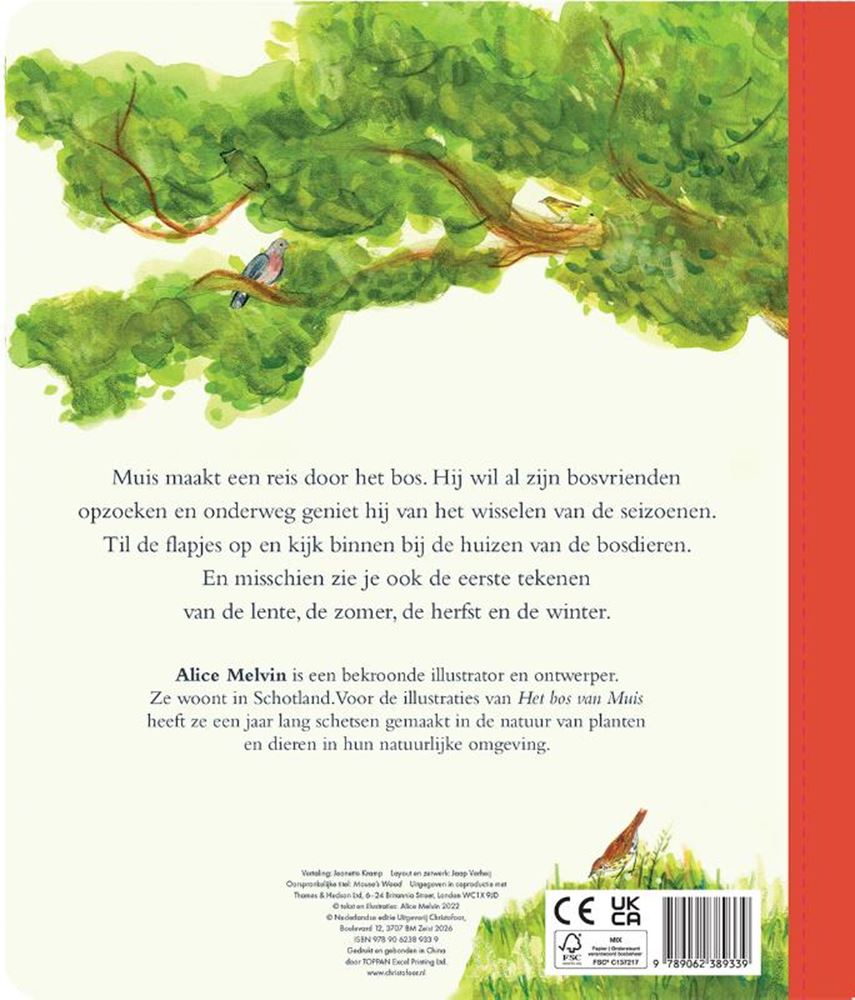 Libro cartonato: La foresta del topo 3+