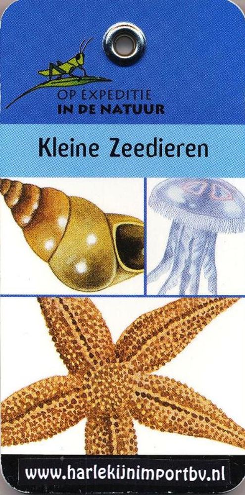 Libro di spedizione: piccolo animale marino (6 pz)
