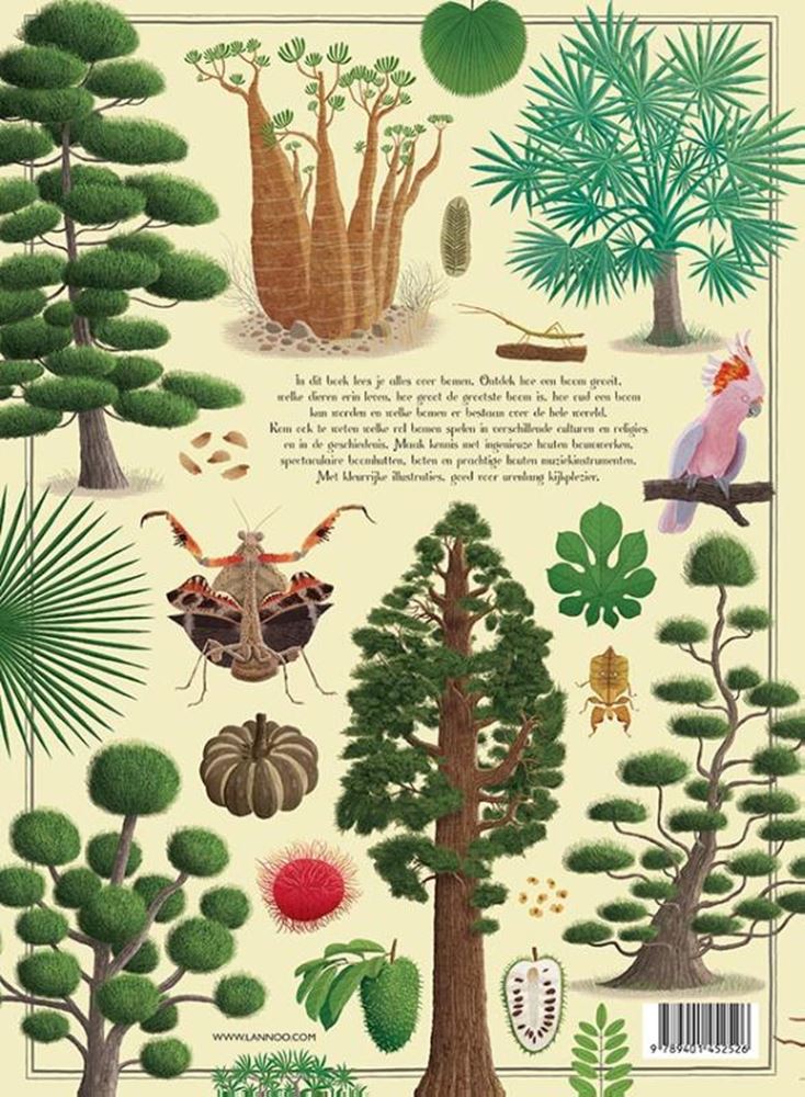 Carte orali il grande libro degli alberi