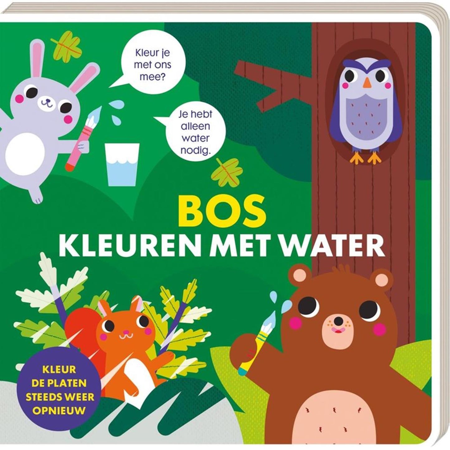 Libri illustrati da colorare con acqua - foresta