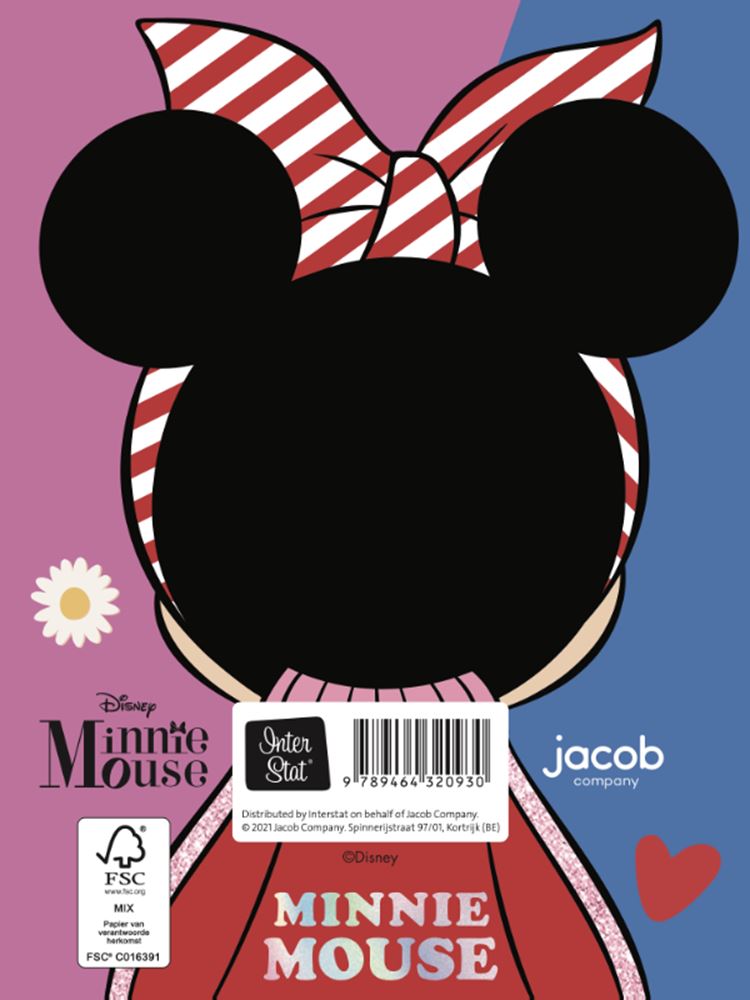 Libro de amigos de disney minnie mouse