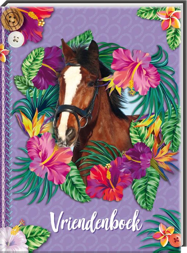 Libro amigos libro caballos | 2 piezas