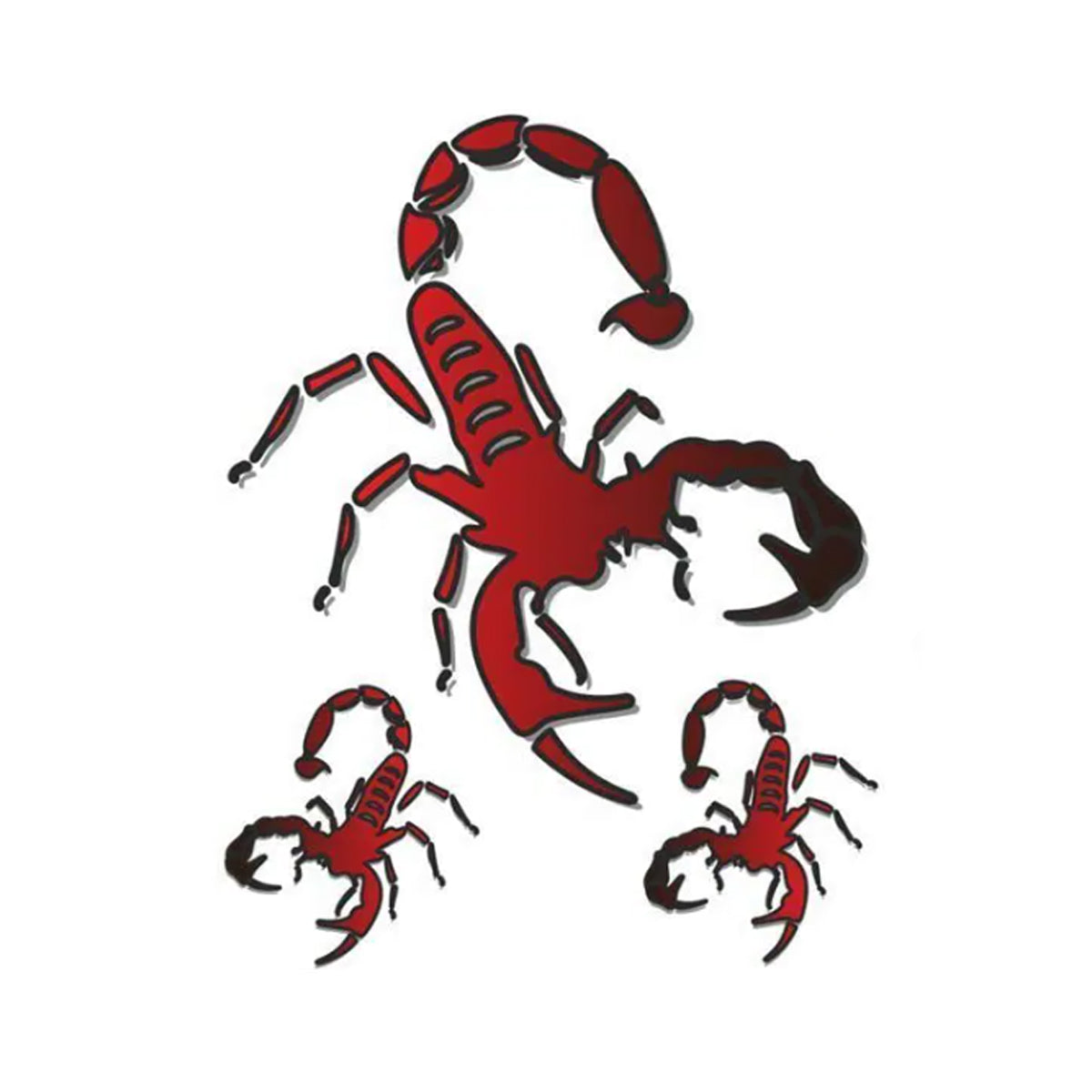 Stk Cangrejo de río 3 pcs 10 x 12 cm