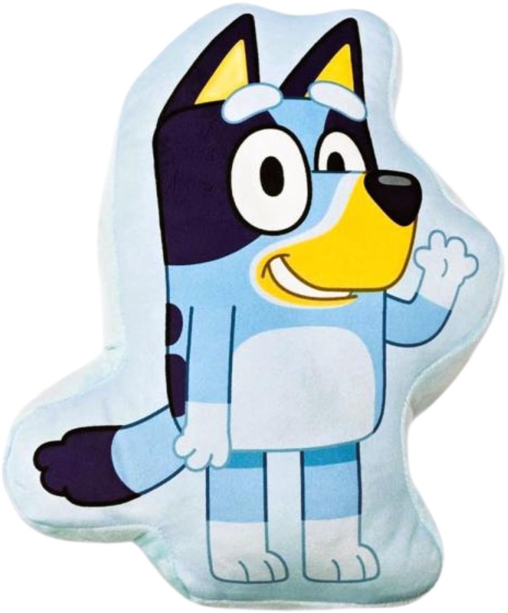 Cuscino decorativo azzurro 26 x 33 cm