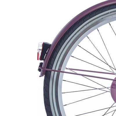 Alpina Fender Set 24 Mood Dark Mauve Matt