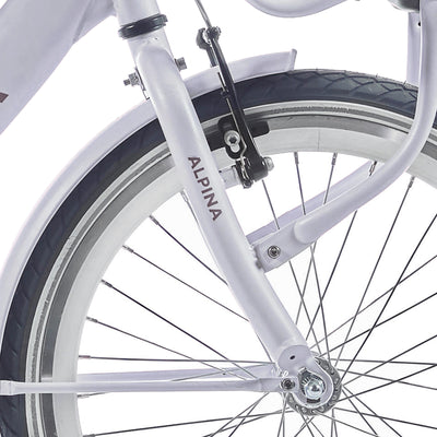 FORK ALPINA 20 CLUBB FROSTY PINK MATT