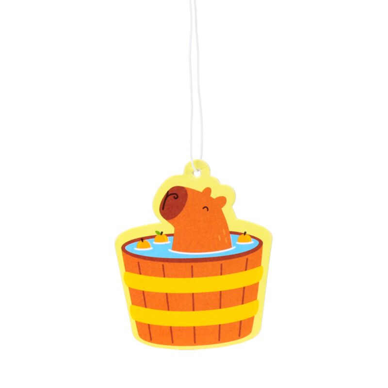 Odore mandarino Capybara Air Frisher