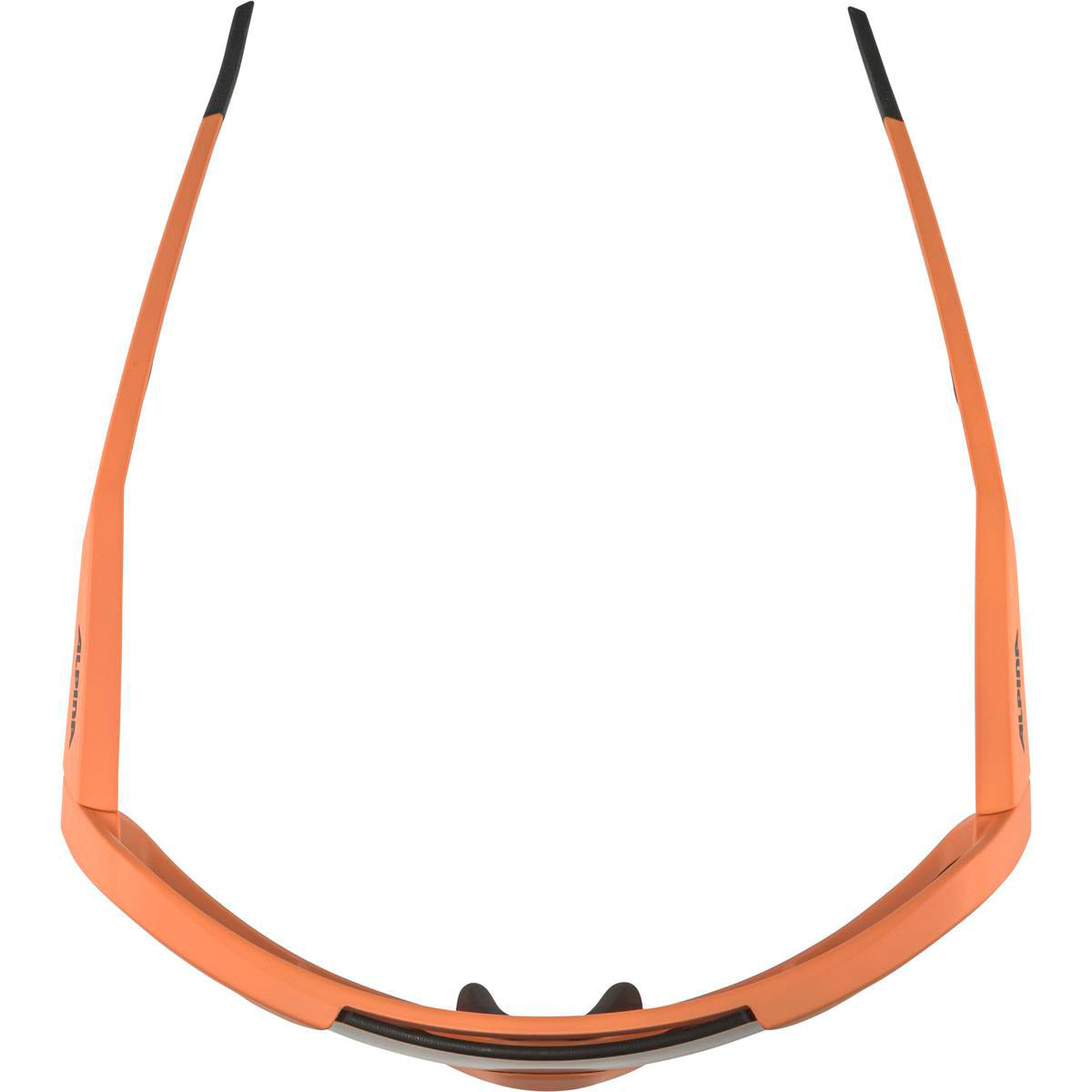 Olympic Sportswear Alpina Sports occhiali sportivi rocket q-lite matte pink