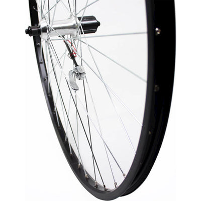 Ruota posteriore Roland 28 interruzione cass 8v alu as26 zinco nero spk