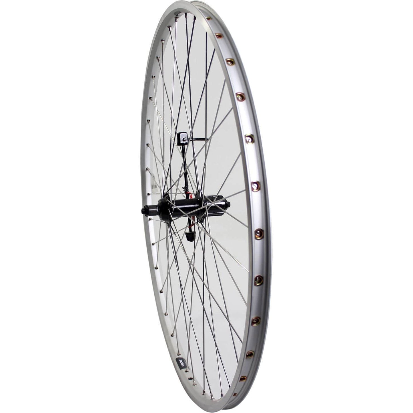 ROLAND Rueda trasera 28 Cass Cass 7V ZAC19 Spk de acero inoxidable plateado