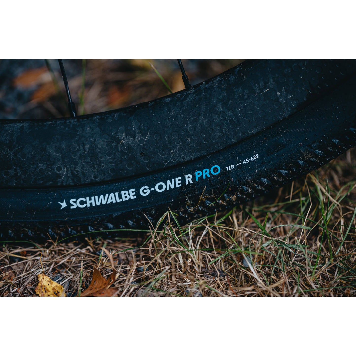 Schwalbe Tire G-One R Evo V-Guard 28 x 1.35 B TS-S-S-SK Fold
