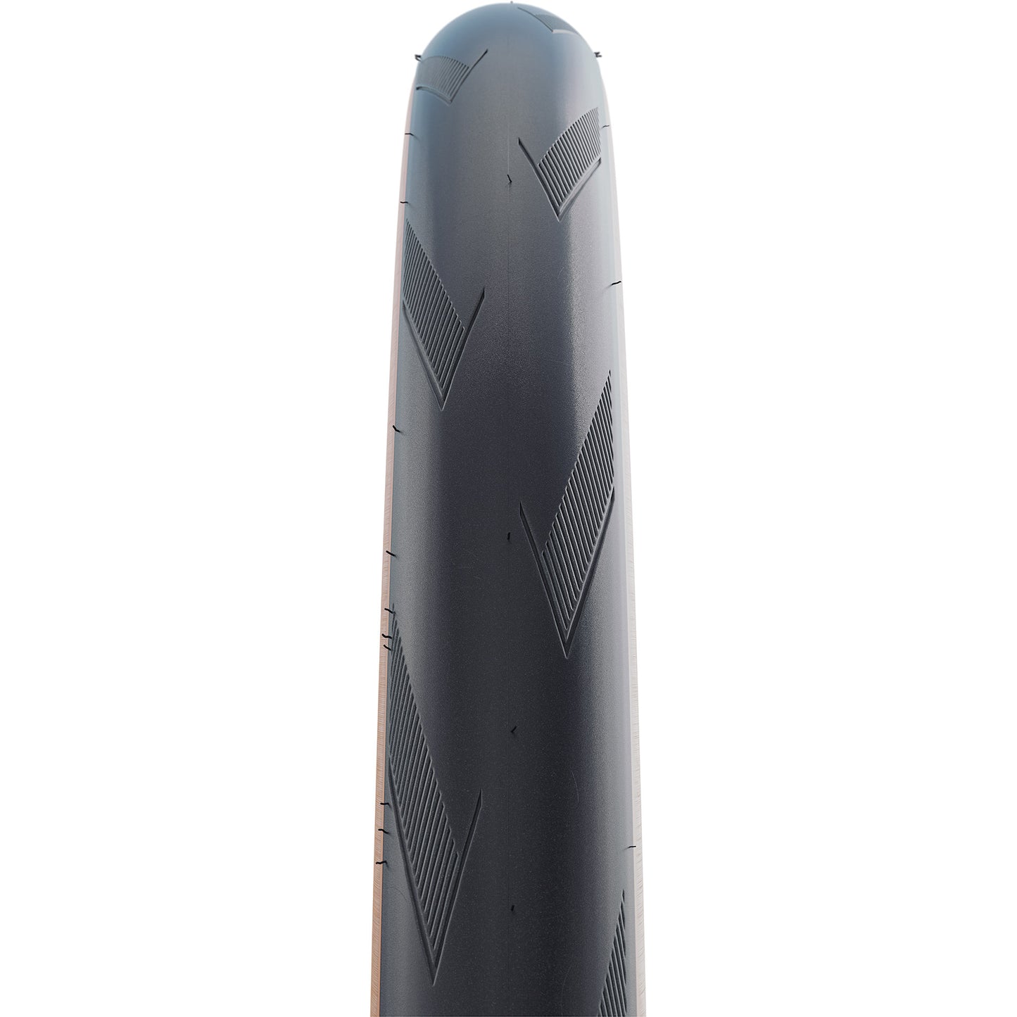 Schwalbe - PRO PROPENTA DE PLUTA DE PLOGA SUPER RAPER EVO TLE SUPER 28X1.30