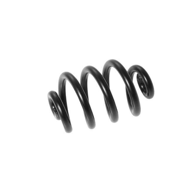 Brooks saddle spring on the right black