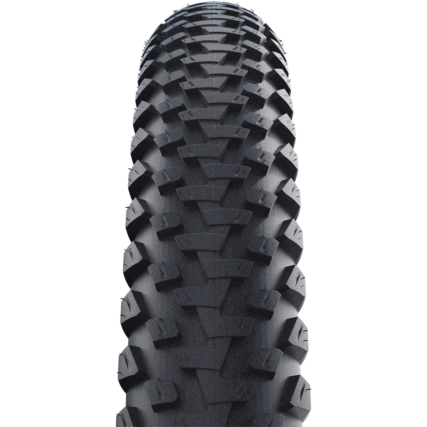Schwalbe