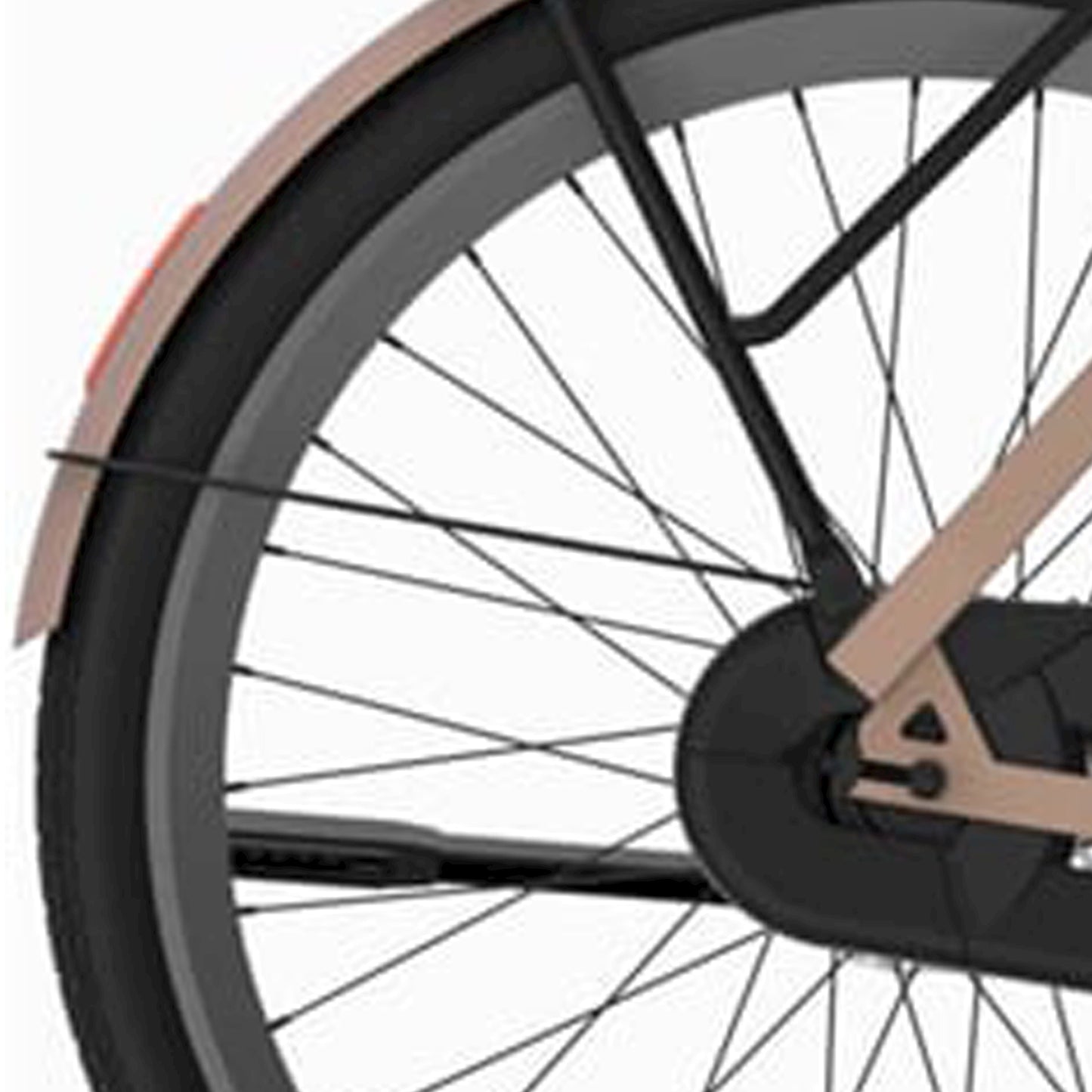 Cortina Fortboard Rod detrás de 28 champán rosa e-nite mate