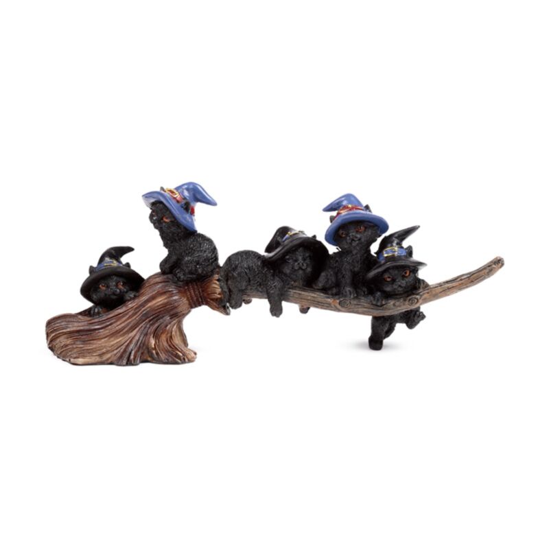 Witches Black Cat suona su Broomstick Broamtick
