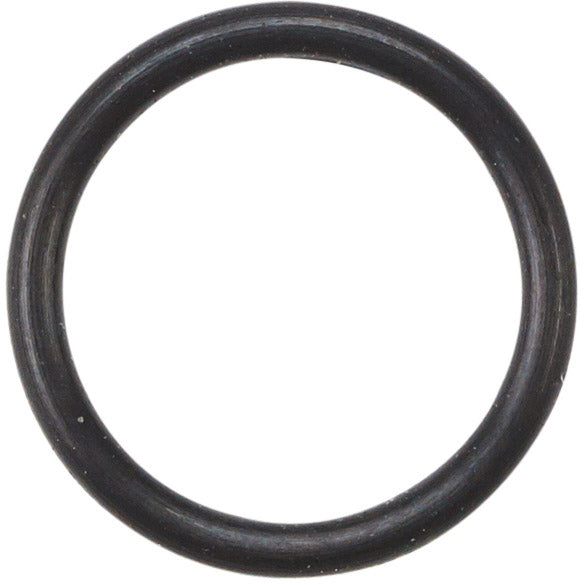 Elvedes Tor-Ring Sram Banjo 2019110 (20x)