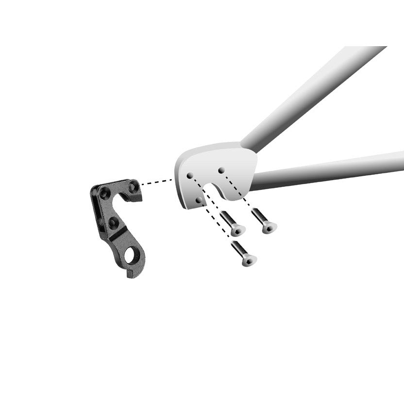 Union Derailleurpad GH-107 con set di viti M3X0.9