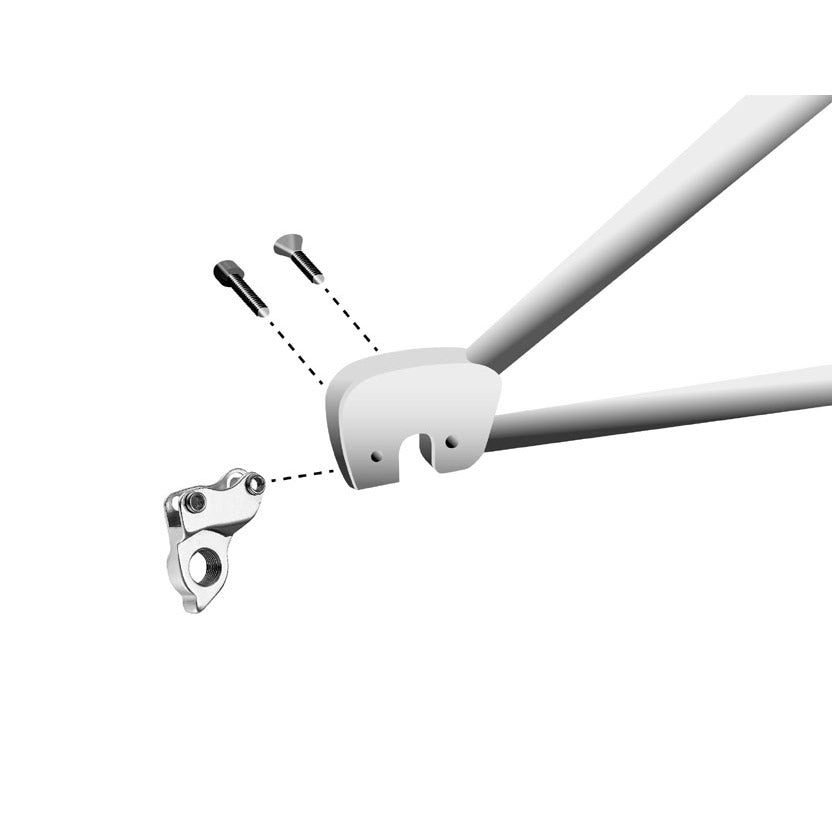 Union Derailleurpad GH-160 Cannondale con vite set