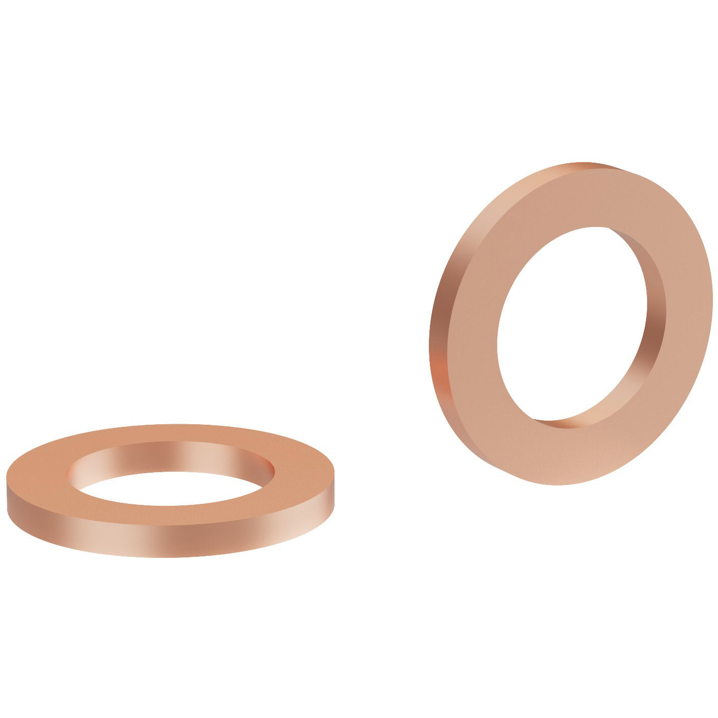 Elvedes Seal Anello grande per Hope Snake (10x) ELV-HP05