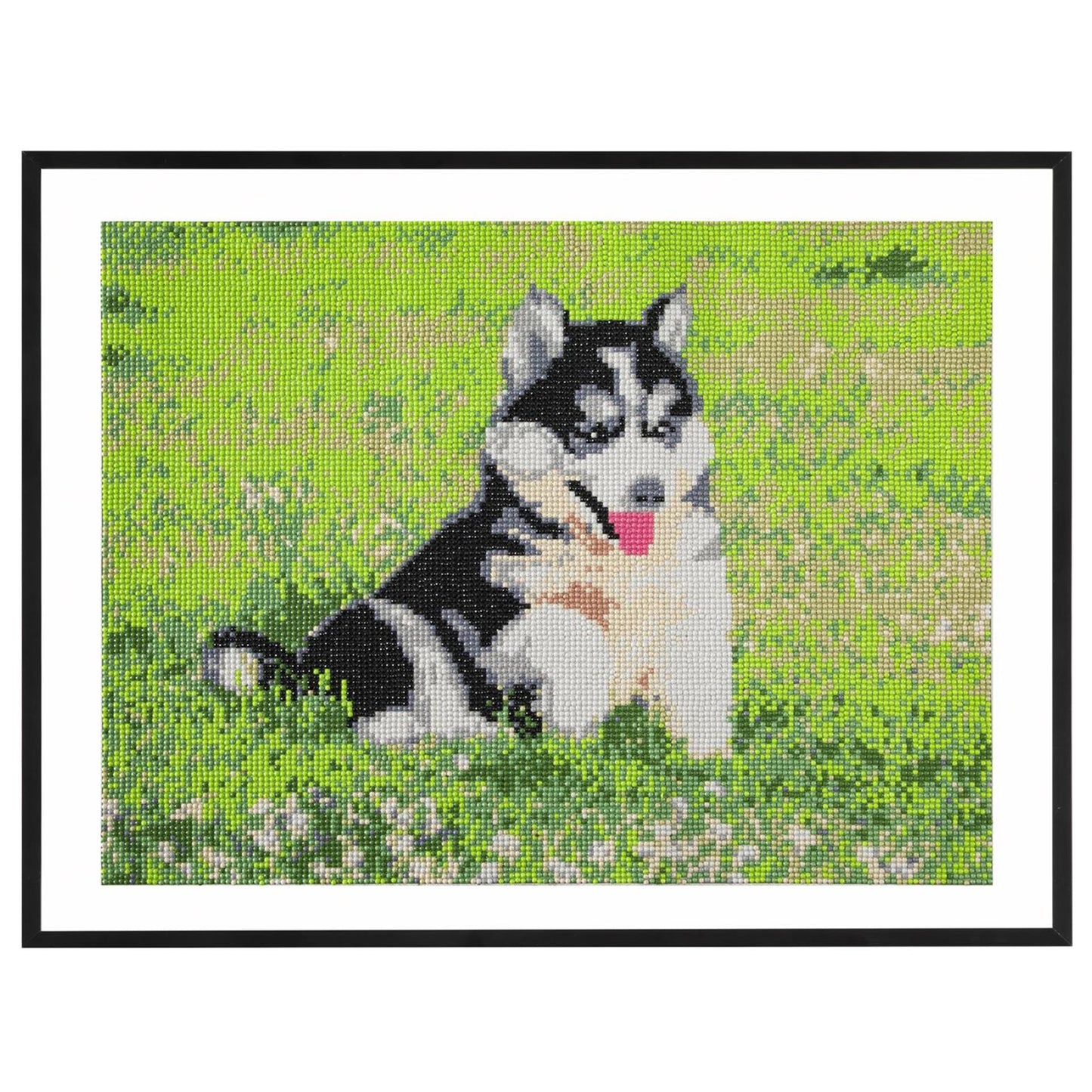 Craft id cuadro con diamantes, 40x50cm, perro