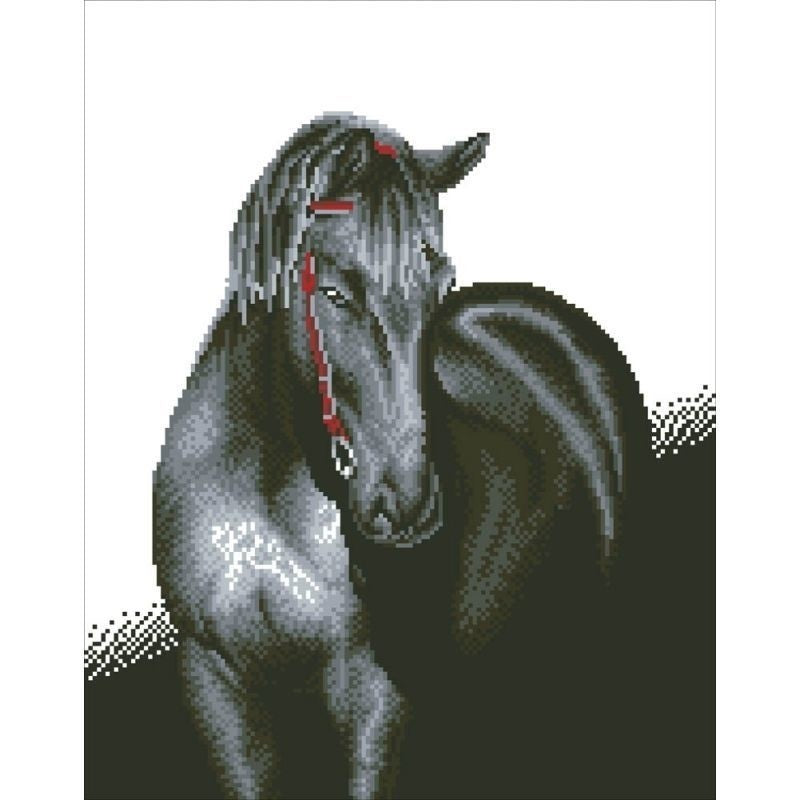 Stallone di mezzanotte diamante dotz: 53x42 cm (dd10.012)