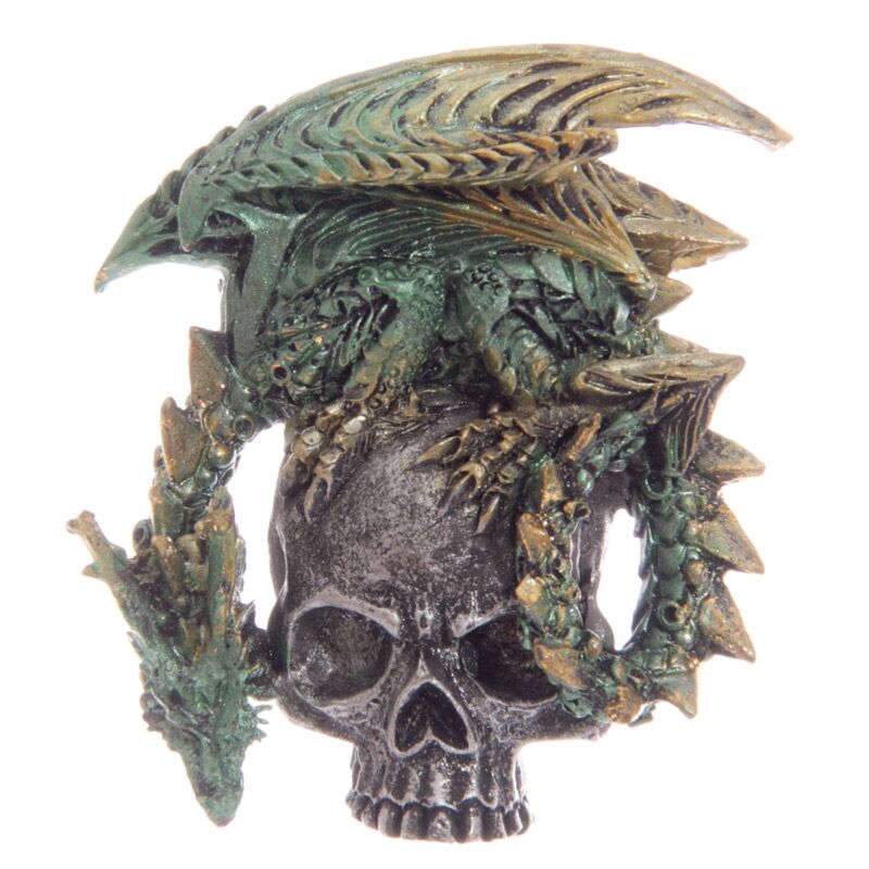 Calamita del cranio del drago gotico