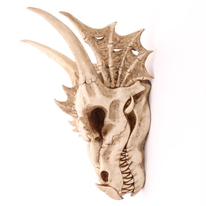 Dragon Skull Decoration - grande