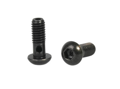 Elvedes Banjo Bouten M6 (2st)