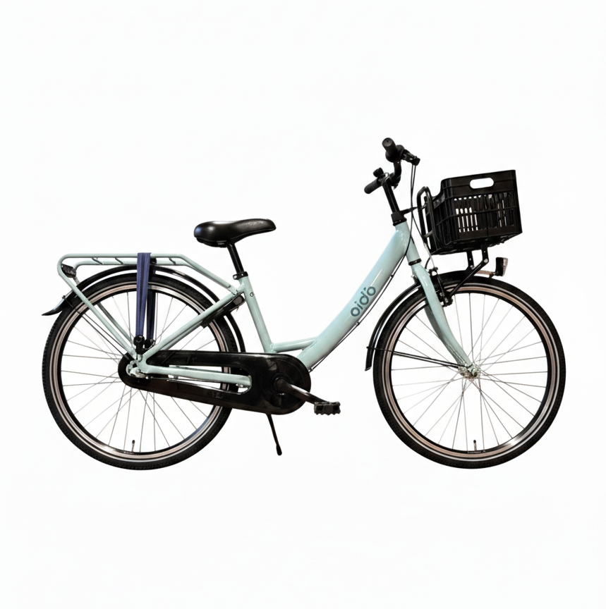 Aldo 24 pollici Carino Bike Alu 3V Mintgroen