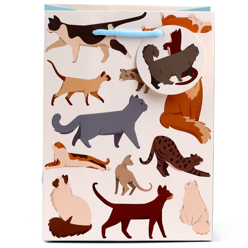 Gatti fine felini - sacchetto regalo medium
