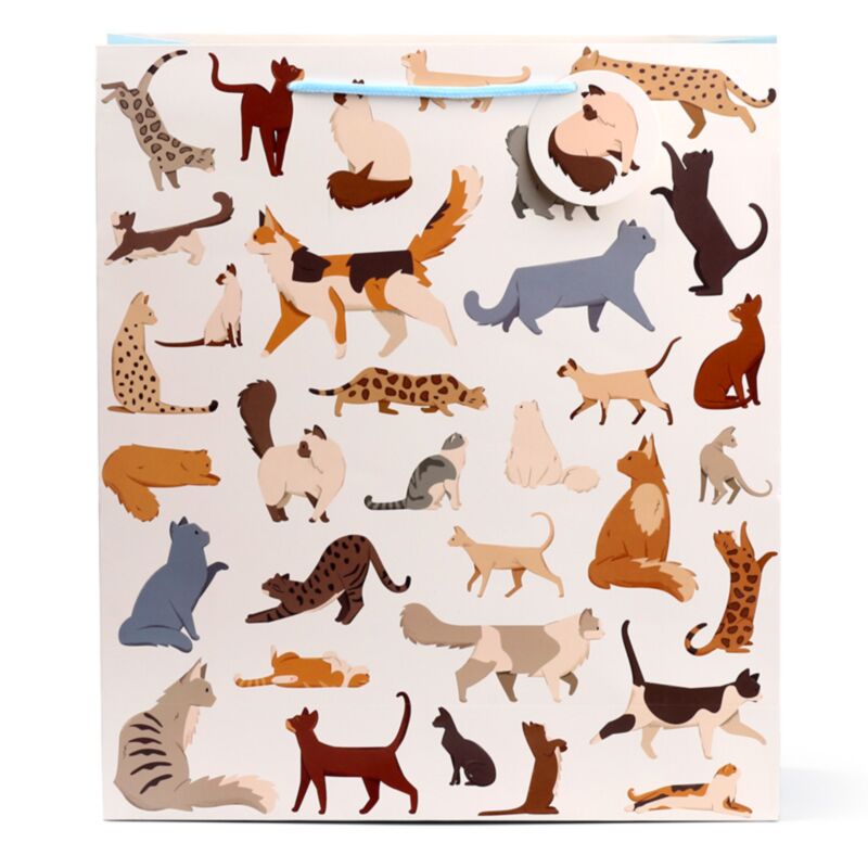 Cats finos felinos - bolsas de regalo xl