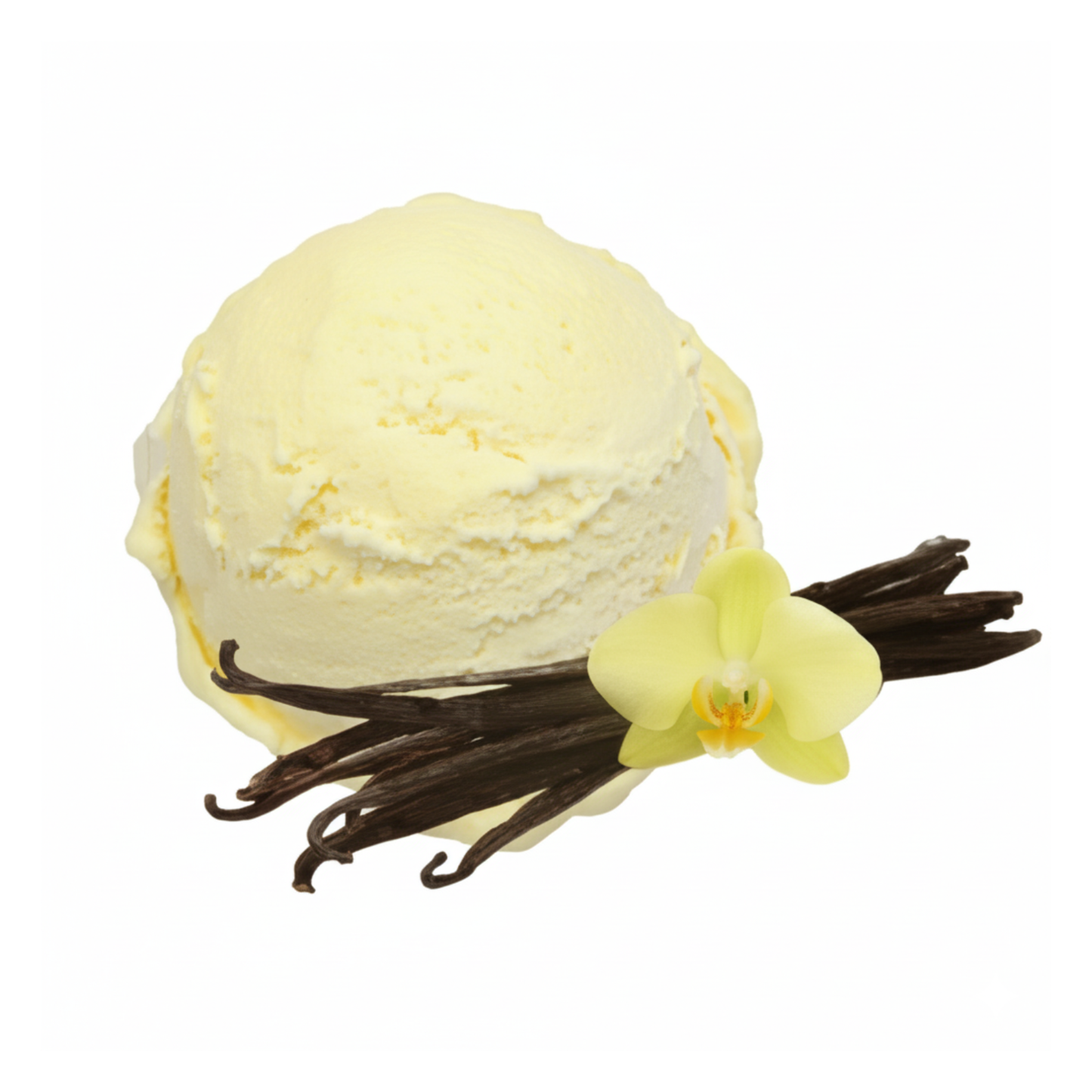 Helado de vainilla y bourbon Gelato fantastico (4,7 litros)