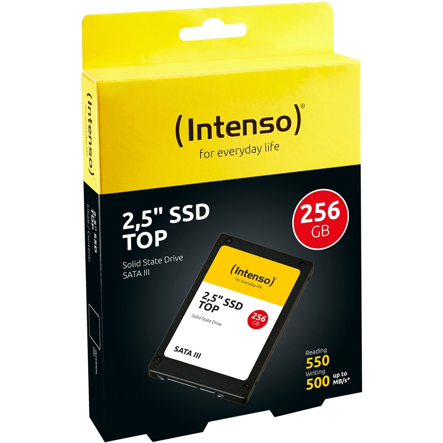 Performance di intenso, 256 GB