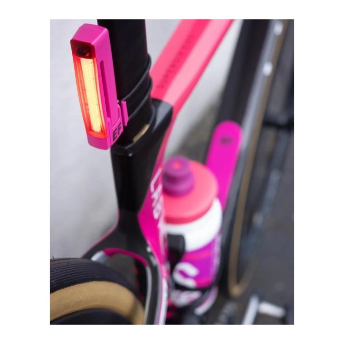 Knog plus posteriore limitato - e.f. ciclismo professionistico rosa